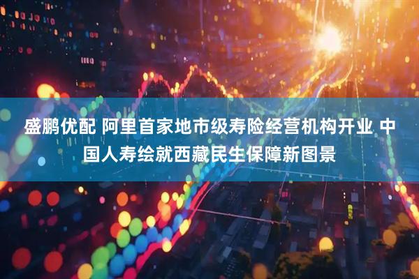盛鹏优配 阿里首家地市级寿险经营机构开业 中国人寿绘就西藏民生保障新图景