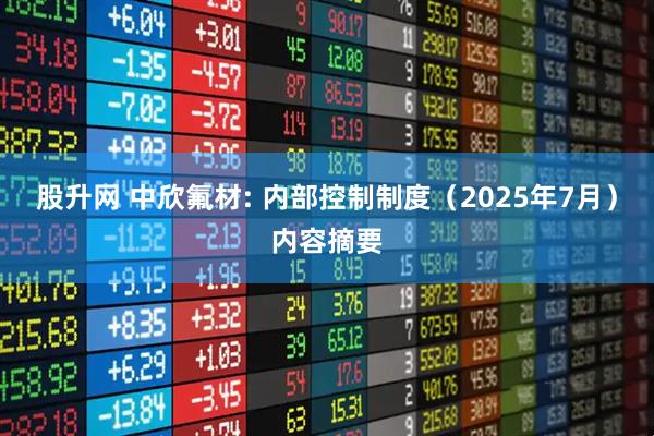 股升网 中欣氟材: 内部控制制度（2025年7月）内容摘要